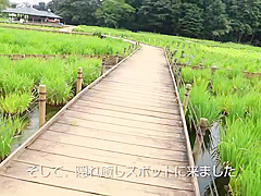 0005403_ディープキス インモラル ベロチュー ほか