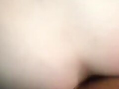 478 Anon top breeds me SEXRICOXXX