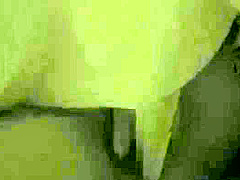AOF968-DTUEDCBQEW345823334