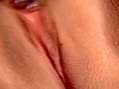 All Horny Bitches Making You Cum!