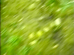 Alle Olivias Wunsche - 3