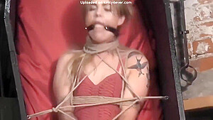 Altsiren Chairtied And Ropebondage