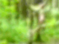 Amateur Naked Nymphs in the Forest -- Parts 1 & 2 -- BDSM