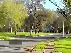 Amateur couple roadside play