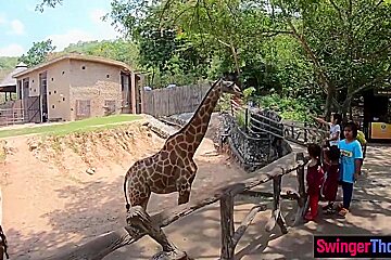 Amateur teen 18+ Couple Visits An Animal Park And Have Dirty Sex Afterwards