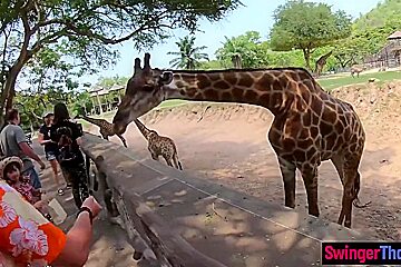 Amateur teen 18+ Couple Visits An Animal Park And Have Dirty Sex Afterwards