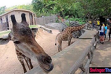 Amateur teen 18+ Couple Visits An Animal Park And Have Dirty Sex Afterwards
