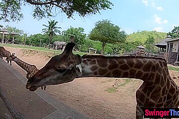 Amateur teen 18+ Couple Visits An Animal Park And Have Dirty Sex Afterwards
