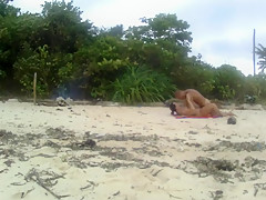 Amateur yang couple were catched fucking on a public beach