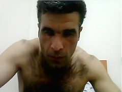 Arab bear