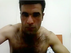Arab bear