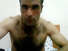 Arab bear
