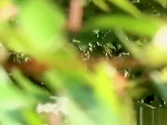 Asian babe caught pissing