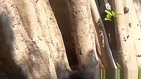Asian ho peeing her panties in street