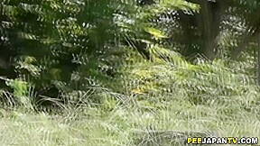 Asian ho ###s outdoors