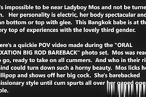 Asian shemale ass banged POV style