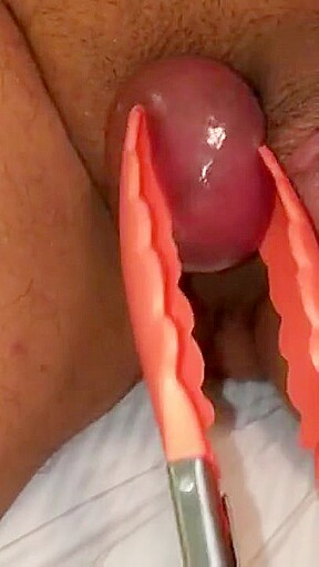 Ball torture with different toys