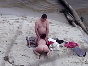 Bear fucks his wife on the beach