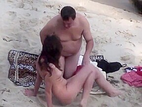Bear fucks his wife on the beach