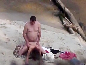 Bear fucks his wife on the beach