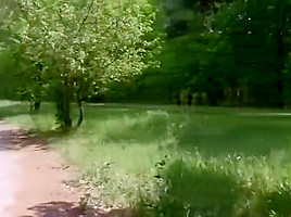 Beauteous female acting in a sperm shot porn movie