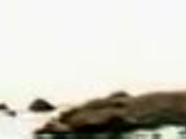 Best Japanese whore Mao Saito, Arisa Kanno in Incredible Compilation, Beach JAV scene