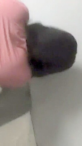 Big Booty ebony backshots