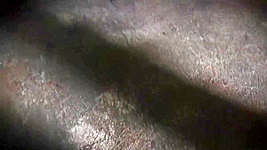Black guy arrested gets his dick sucked
