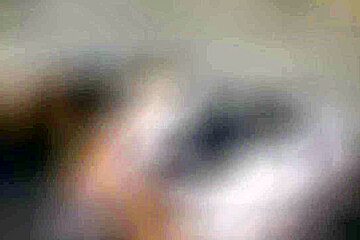 Brunette Hardcore Blowjob