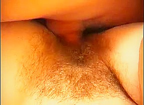 Bushy Shannon