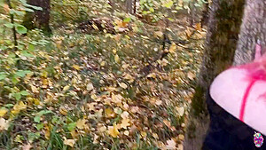 Busty Babe In Torn Pantyhose Risky Fucks Stranger In Forest And Got Cum In Mouth