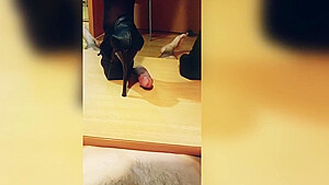 Cbt Session Cock Trampling High Heels