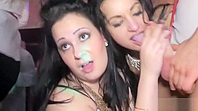 Cock hungry party animals