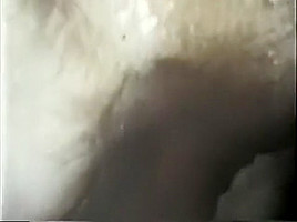 Crazy Retro, Hairy sex movie