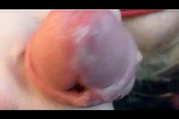 Cuckold penis worship taining JOI
