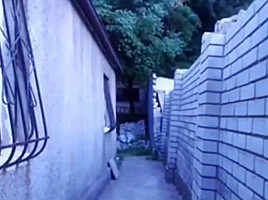 Cutie jacking on the side of the house