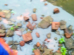 Devar Outdoor Fucking Indian Bhabhi In Abandoned House Ricky Public Sex