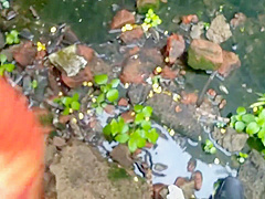 Devar Outdoor Fucking Indian Bhabhi In Abandoned House Ricky Public Sex