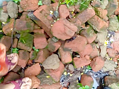 Devar Outdoor Fucking Indian Bhabhi In Abandoned House Ricky Public Sex