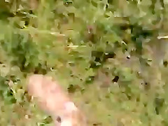 Dickflash - Jerking for a topless sunbather  360p