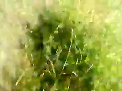Dickflash - Jerking for a topless sunbather  360p