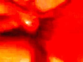Dirty wife