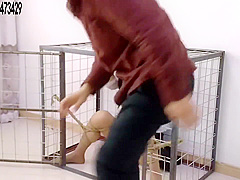 Dongbei Bondage