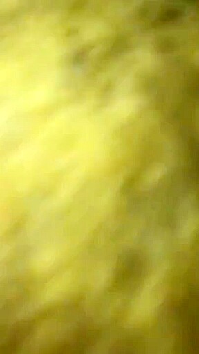 EXTREME Ebony Blowjob (ASMR)!