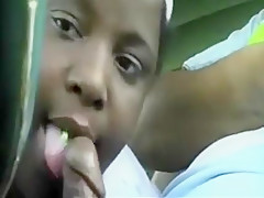 Ebony BBW With Huge Tit's Giving Head