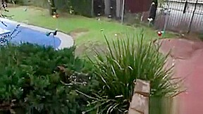 Exciting And Arousing Pussy Bangings With Hotties