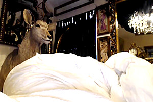 Exotic amateur shemale clip with Webcam scenes