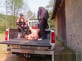 Extraordinary Gina Killmer gets juicy hole fucked