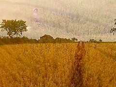 'Fields Of Gold'
