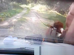 French outdoor prostitute